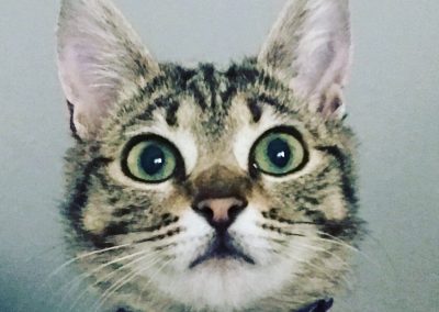 Coco